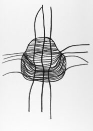 Clémentine Chambon -DESSIN Elliptic, recherche n°2