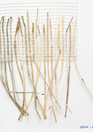 Elise Fouin - Assemblage Foin n°1